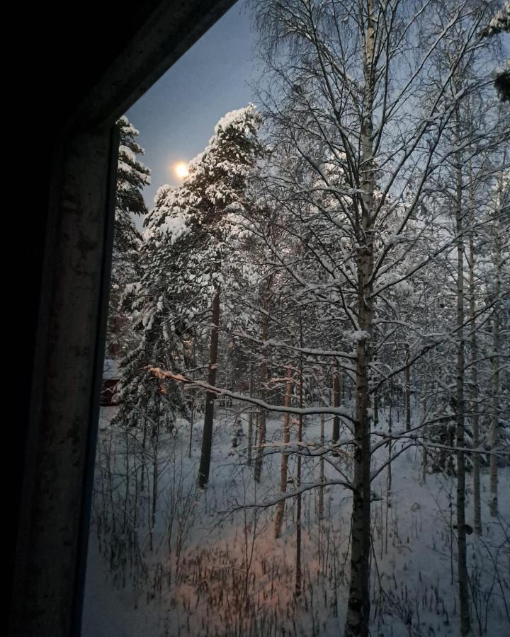 Room In Polar Circle Rovaniemi Eksteriør billede